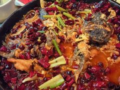 -老板恋上鱼(恒隆广场店)