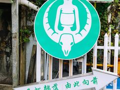 -马灯部落·西湖边的创意山景餐厅(虎跑动物园店)