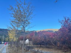 -北京十三陵国家森林公园蟒山景区