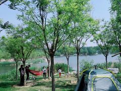 -马家湾湿地公园