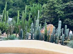 -深圳仙湖植物园