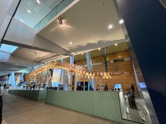-墨尔本博物馆(Melbourne Museum)