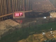 -泉城欧乐堡戏水湾艺术养生温泉