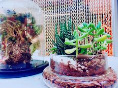 -PlantsEatery·植物食堂(REX春熙店)
