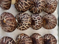 -迎宾楼(解放西街店)