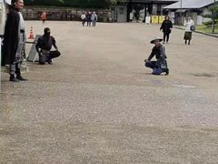 -名古屋城