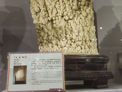 -粤晖园