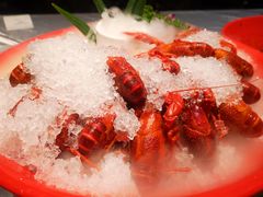 -红辣椒·川菜·火锅(张杨路店)