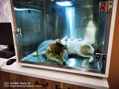 -萌兽医馆·犬猫专科·眼科中心·宠物医院(朝阳门分院)