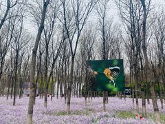 -将府公园