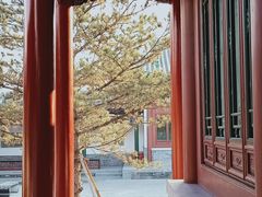 -迎泽公园