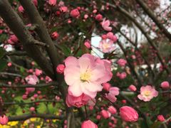 -荆川公园