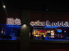-Cats&Rabbits猫兔酒吧