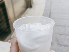 -洪馨椰子