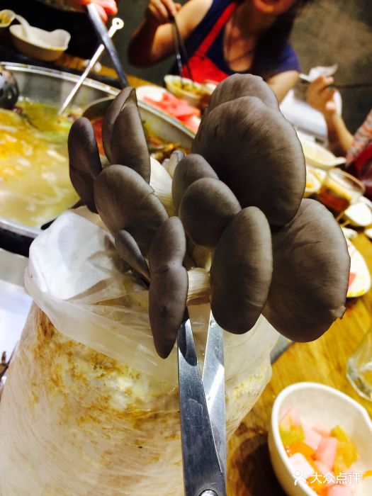 熊猫老灶火锅(延安西路店)生态菇类图片 - 第31张