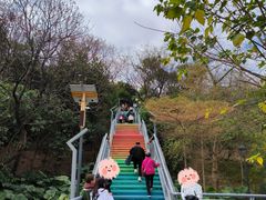 -佛山华盖山公园