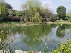 -天目湖涵田度假村