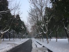 -南京奥林匹克体育中心-体育馆