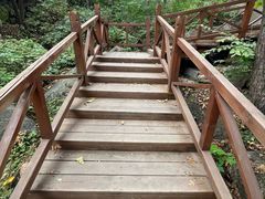 -大岭沟猕猴桃谷风景区