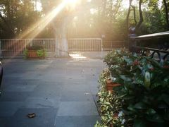 -也枫·小黄楼(南山路旗舰店)