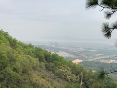 -崖口煲仔饭