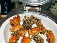 -听松楼·花园酒店·自助餐厅(红梅公园店)