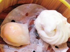 -琼海·狮椰美食楼