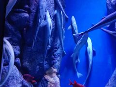 -成都浩海立方海洋公园