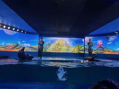-欢乐海岸海洋奇梦馆