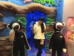 -济州岛泰迪熊博物馆