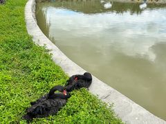 -哈尔滨北方森林动物园