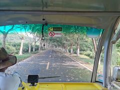 -宜兴龙背山森林公园