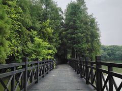 -海珠湖公园