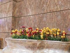 -厦门途易蓝罗约海景温泉酒店(园博苑地铁站店)