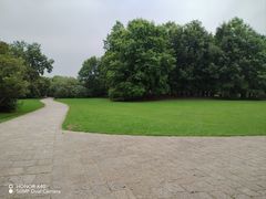 -上海共青森林公园