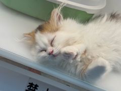 -昆山招商花园城