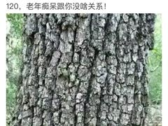 -BreadTalk面包新语·烘焙蛋糕(海珠丽影广场店)