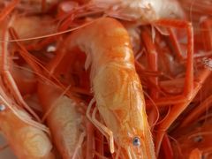 -八仔大富楼·河鲜(西江店)