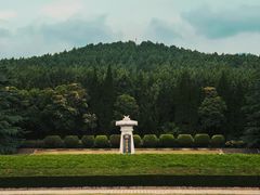-秦始皇帝陵博物院(兵马俑)