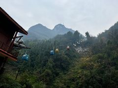 -武陵山森林公园