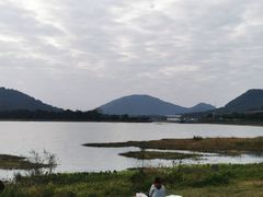 -风云岭森林公园