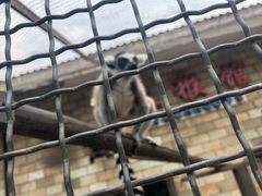 -石家庄市动物园