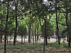 -森林公园(尖草坪区)