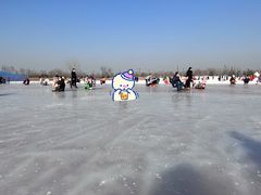 -绿野森林乐园冰雪季