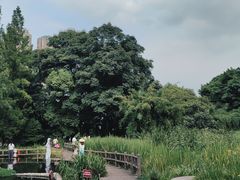 -成都市活水公园