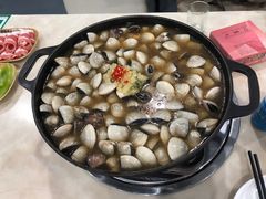 -顺德哥卜卜贝(旗舰店)