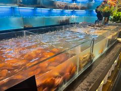 -九月海·海鲜自助(世纪东方店)