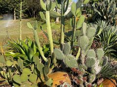 -东莞植物园