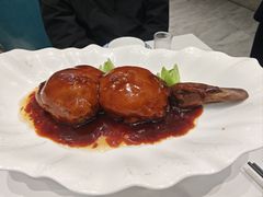 -丁老爷子苏香圆