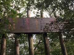 -东海大峡谷
